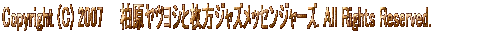 Copyright (C) 2007�@�@�i���j�֐��r�W���A���T�|�[�g. All Rights Reserved. 