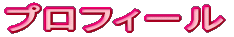 �v���t�B�[��